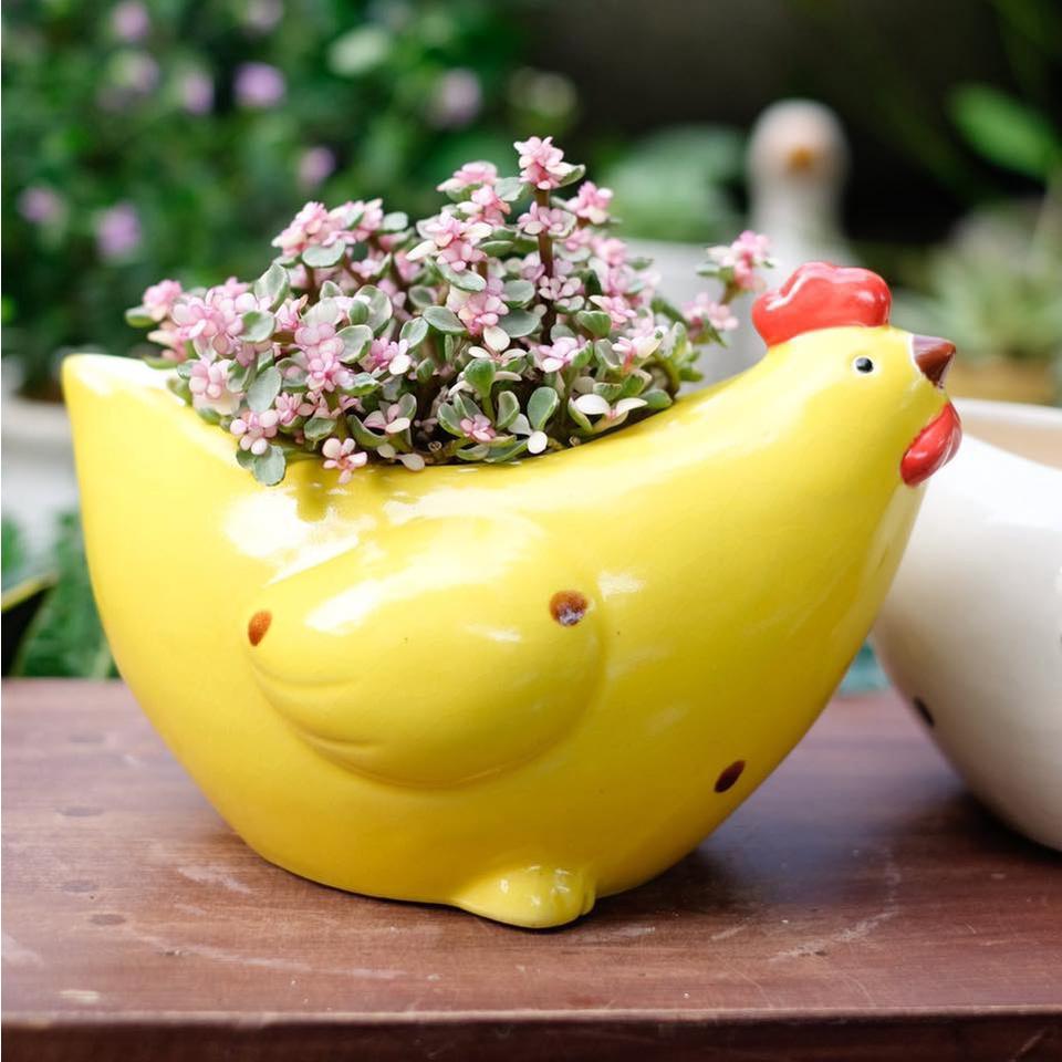 Chậu Gốm Gà Mẹ - Chậu trồng cây, Sen Đá, Decor Trang trí sân vườn - Gốm Xuất Khẩu