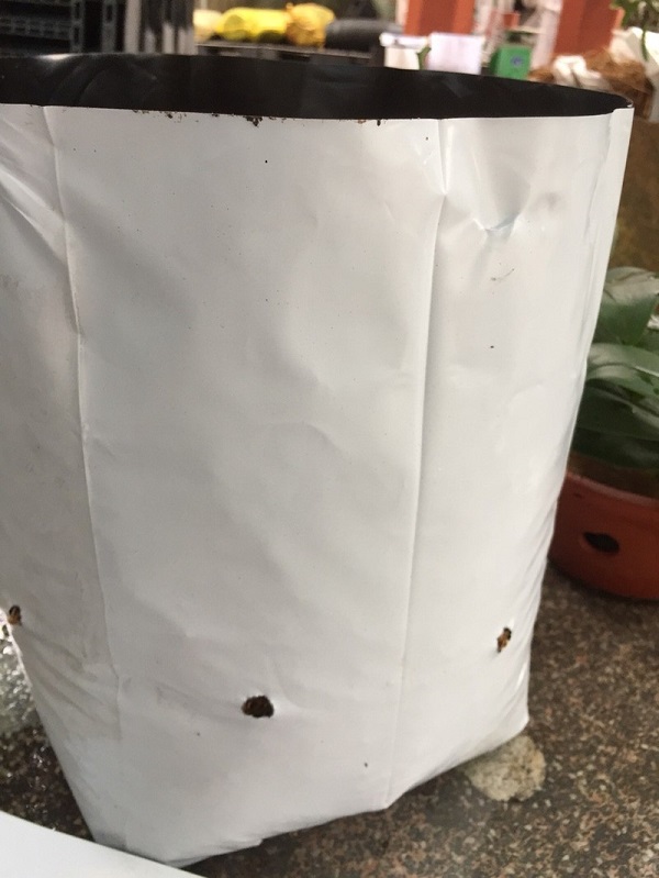 10 Túi 2 da 2 lớp đen trắng 18x33
