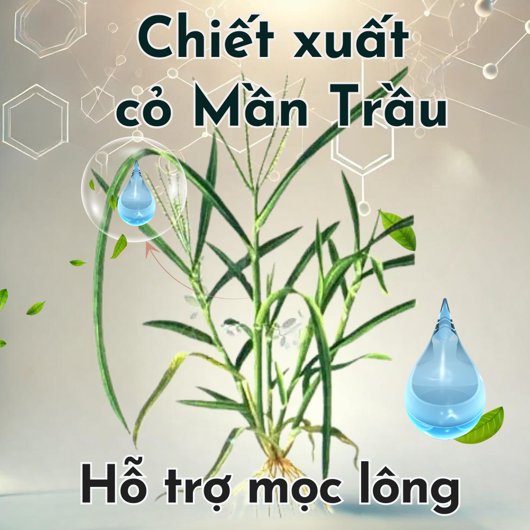 Sữa tắm FAY Bồ Kết 300ml
