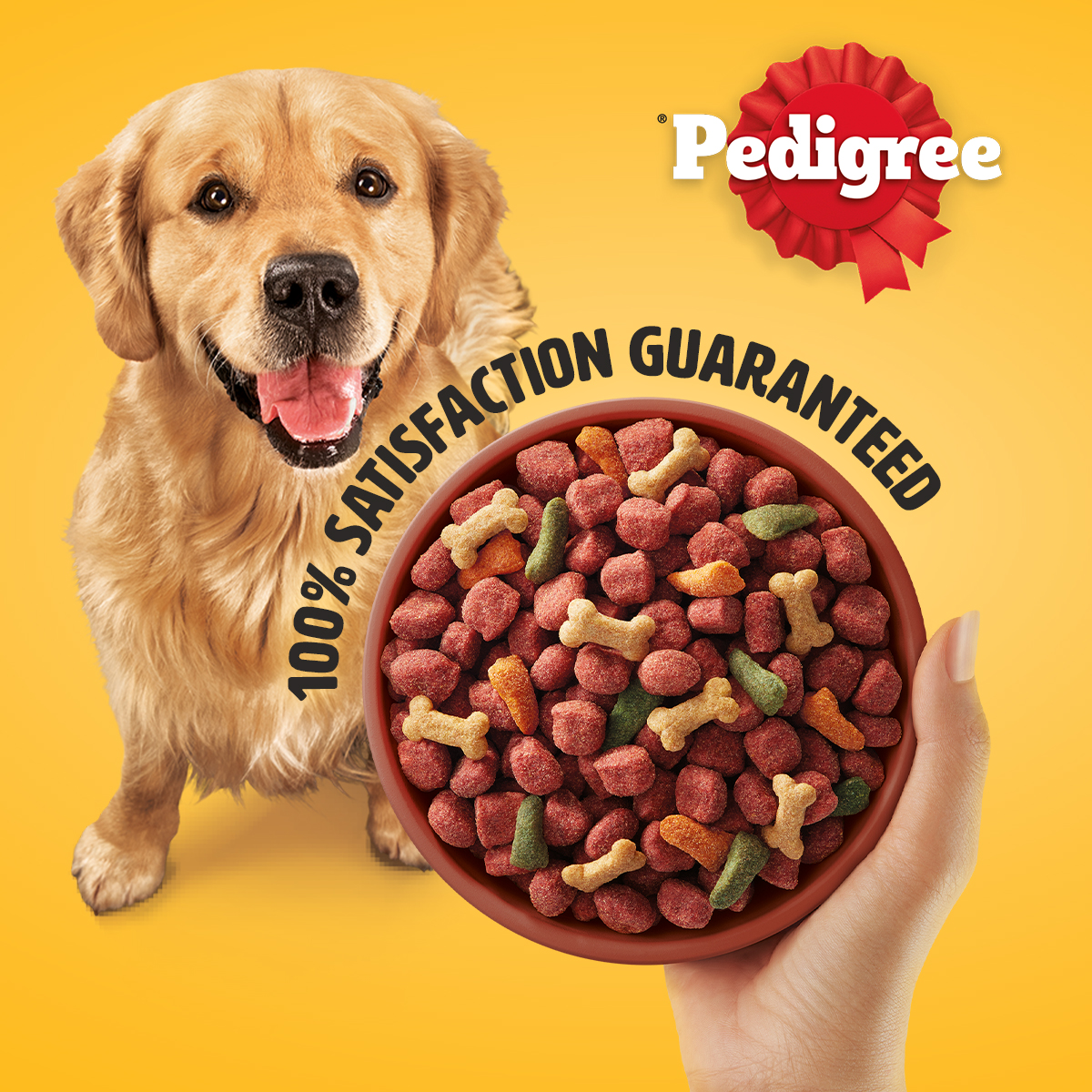 Thức Ăn Dạng Hạt Khô Cho Chó Lớn PEDIGREE Vị Bò Và Rau Củ 20kg
