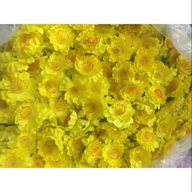 1 kg hoa mai rời hoặc chùm