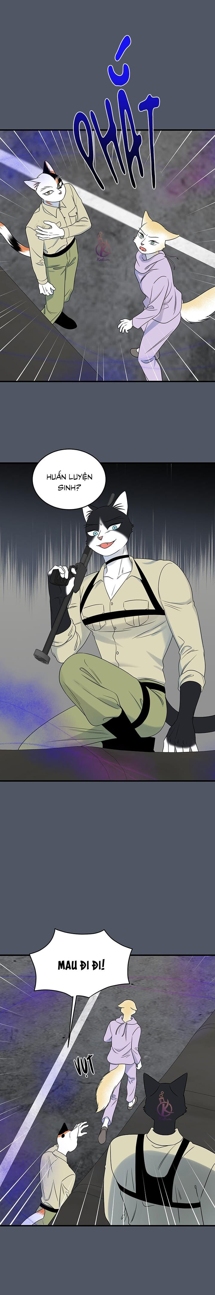 dự án xanh chapter 44 5