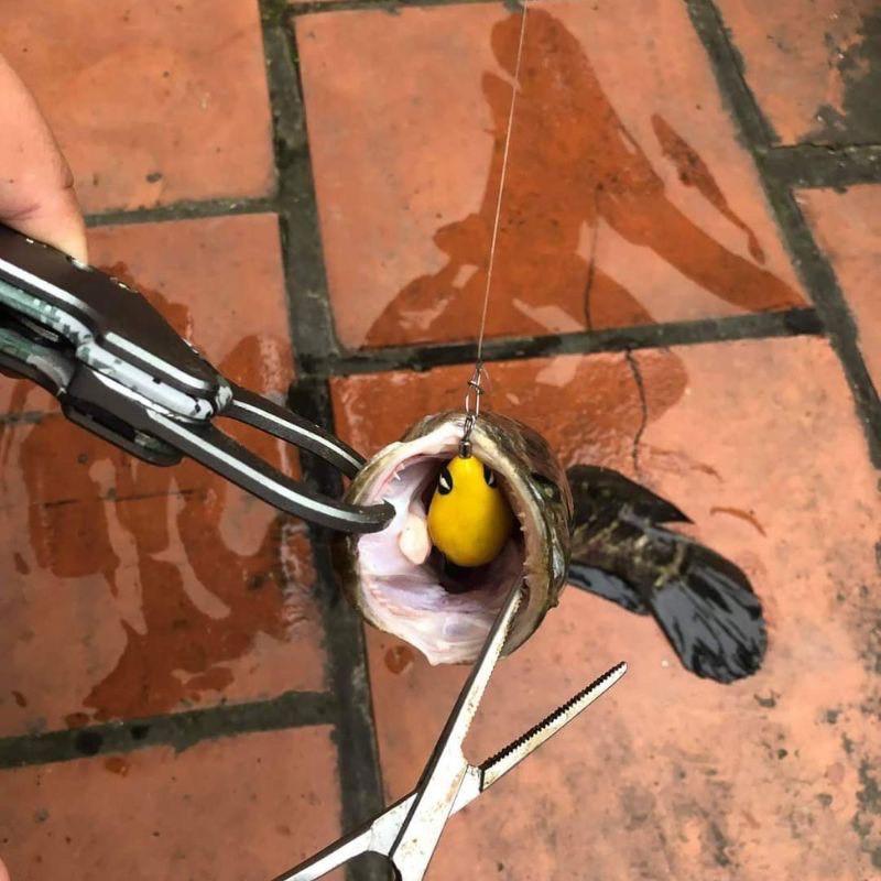 Mồi Câu Lure Nhái Hơi F35 - Mồi Nhái Hơi Chìm F35