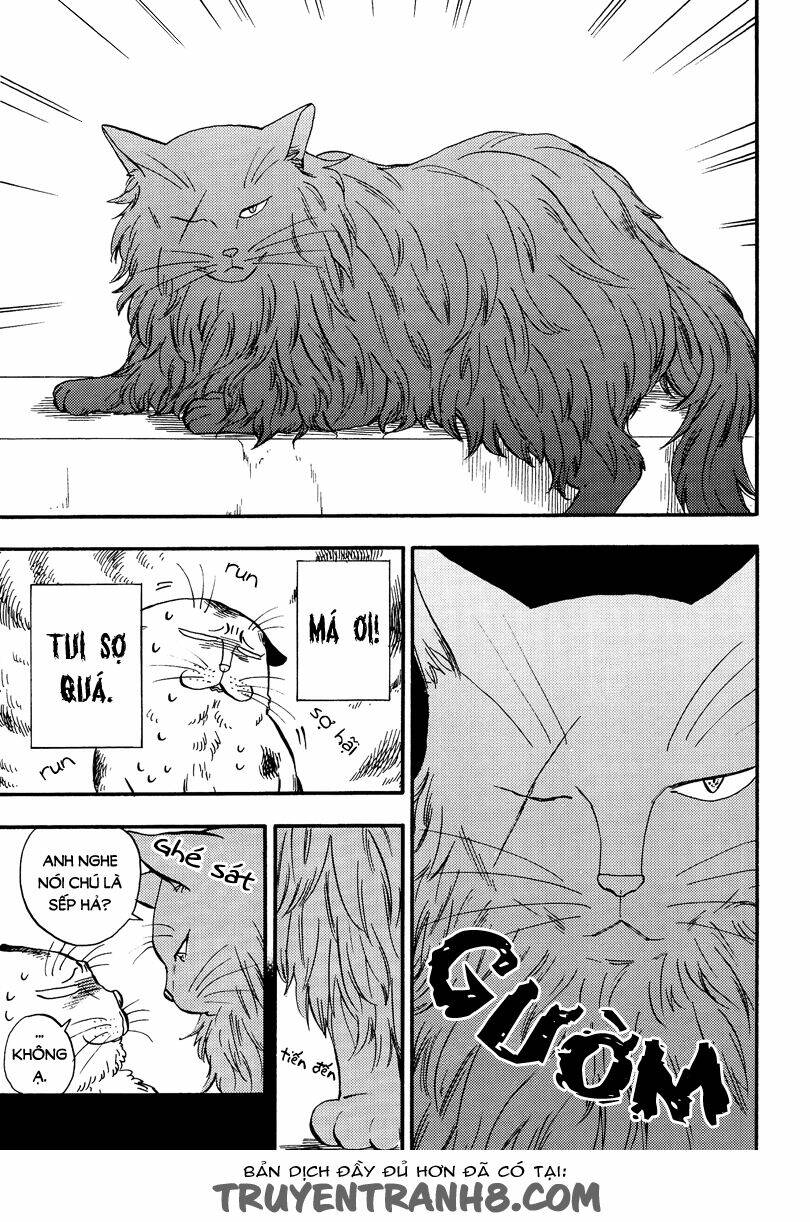 tui là busamen! chapter 5 4