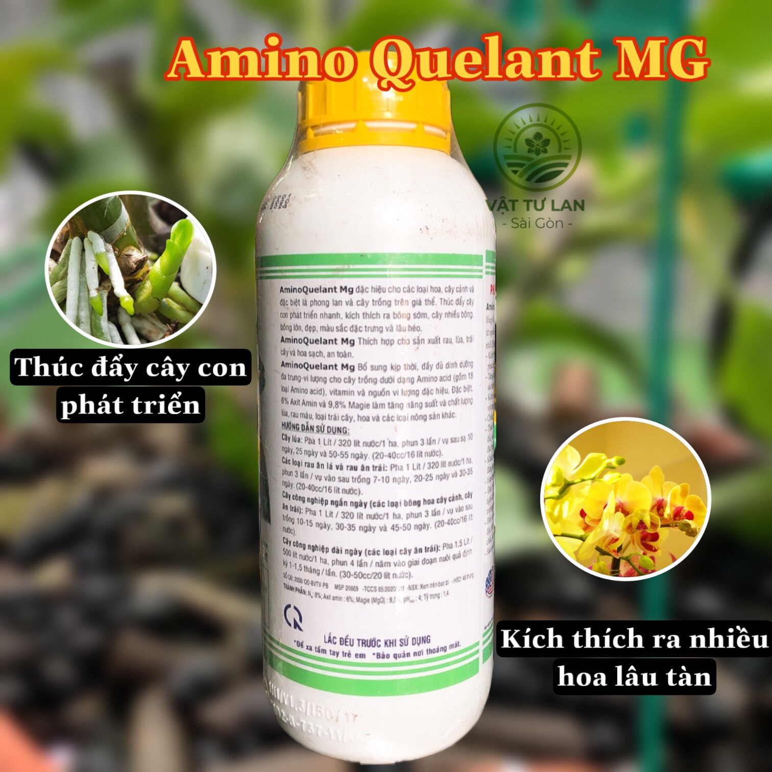 AMINI QUELANT MG - PHÂN BÓN LÁ - 1 LÍT