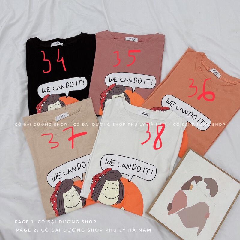 Áo pull tổng hợp