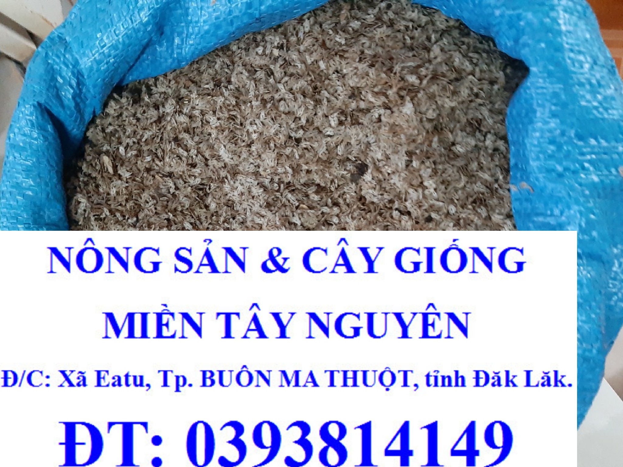 [ 100% sản phẩm mới ]