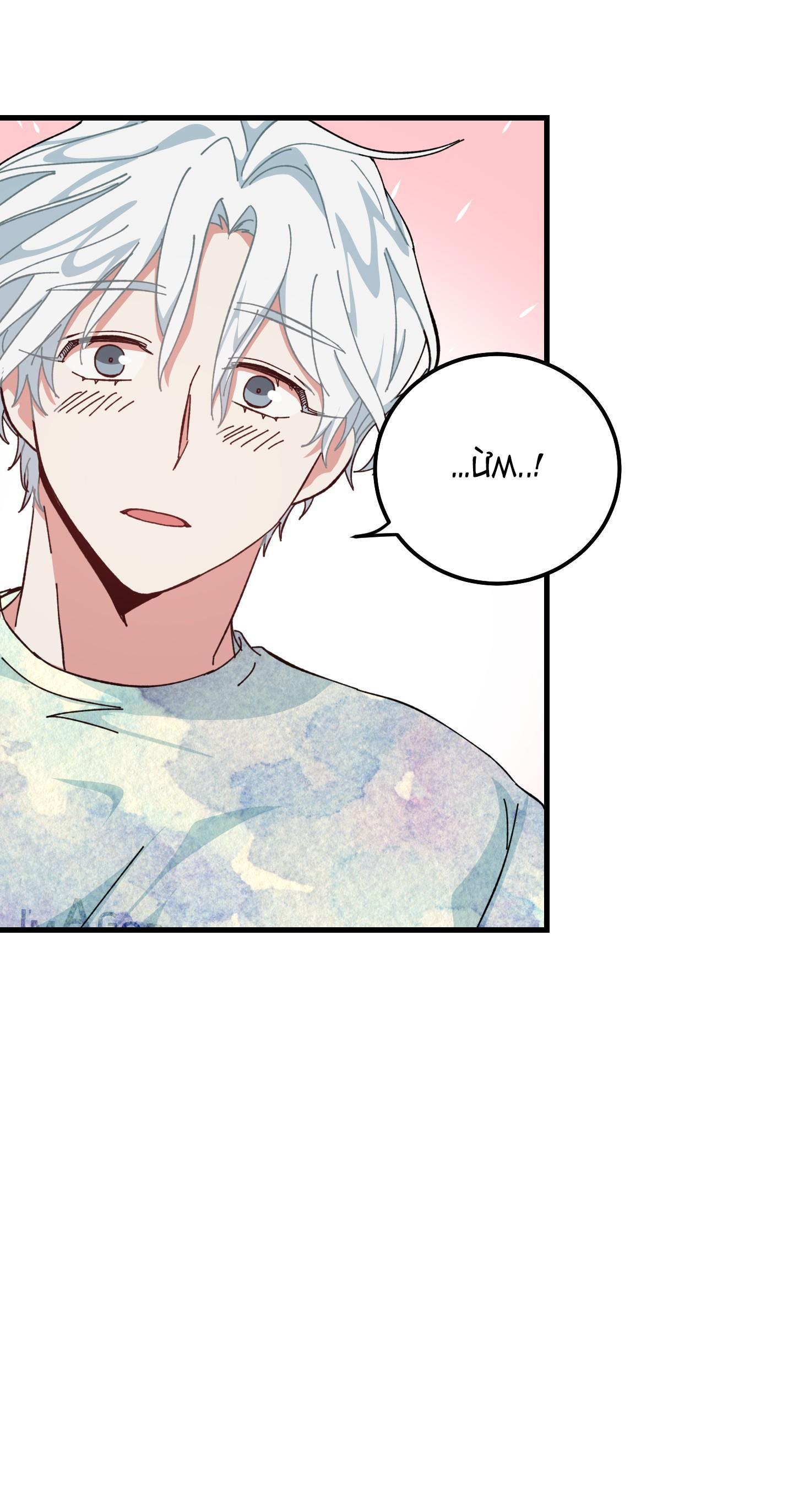 yêu tôi đi, thần hộ mệnh chapter 14 12