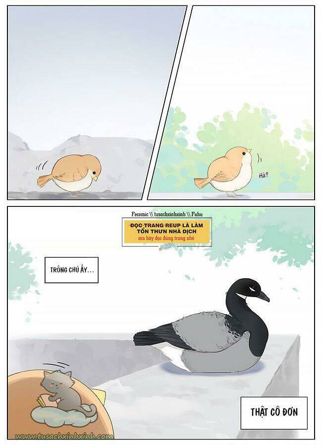 chim sẻ gọi ngỗng trời chapter 10 9
