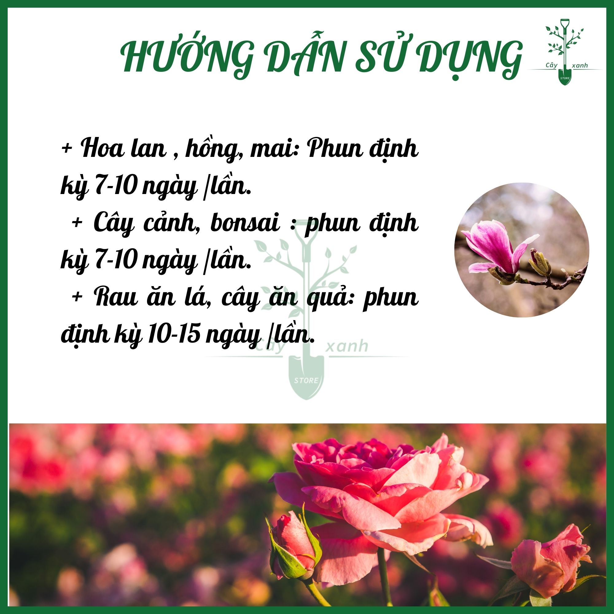 Dung dịch FLOWER 1 - Chai xịt 550ml Phun trực tiếp không cần pha - Giúp mập thân, xanh lá, đâm chồi - Cây Xanh Store