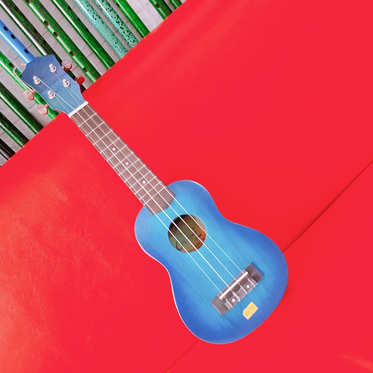 Đàn ukelele nhiều màu sắc đáng yêu