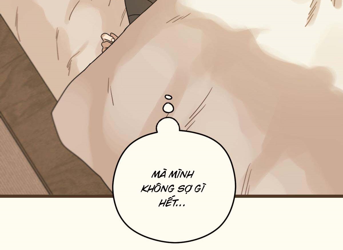 tương phùng chapter 31 169