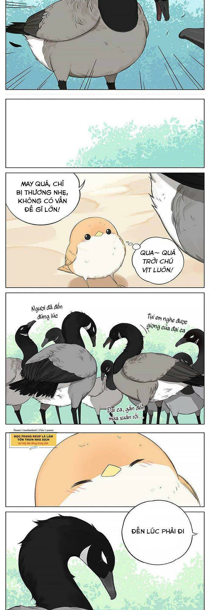 chim sẻ gọi ngỗng trời chapter 19 2