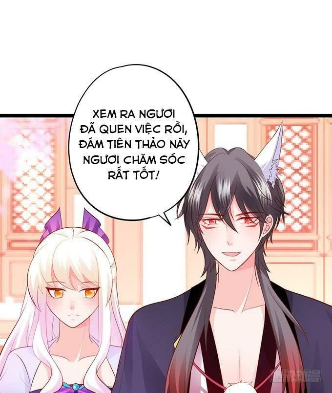 hồ tiên hung bạo chapter 137 20