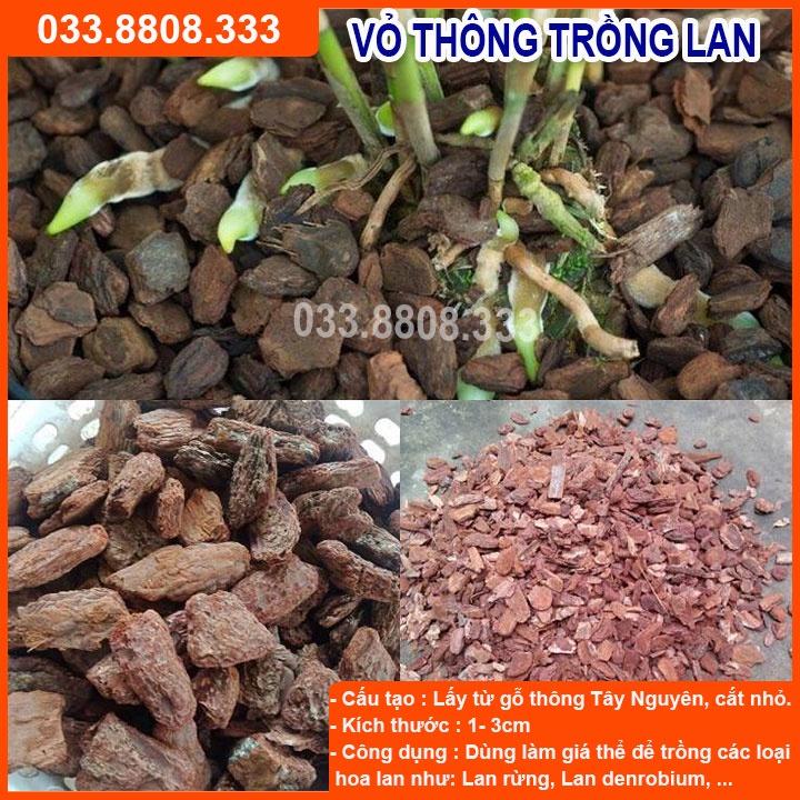 Vỏ thông trồng lan Đã Xử Lý 1kg - Vỏ thông đẹp giúp cây phát triển tốt