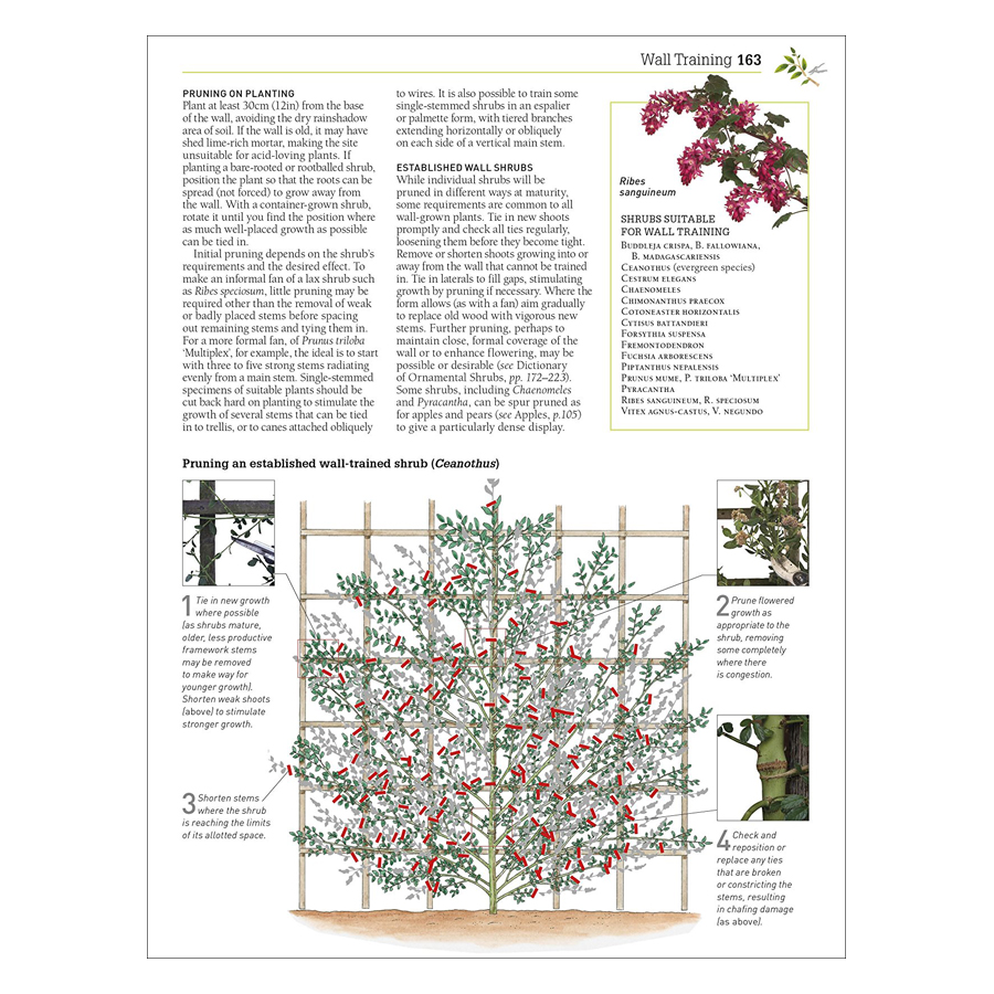 RHS Pruning &amp; Training