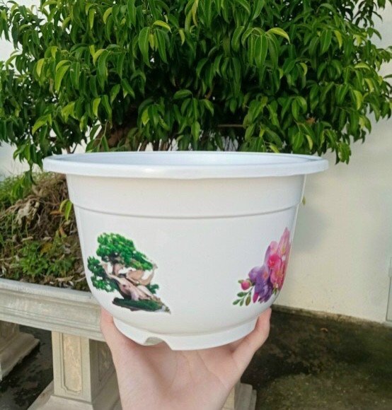 Chậu Nhựa Trồng Cây In Hoa Bốn Mùa Xinh Tươi, Chậu Trồng Hoa Dáng Tròn, Dày, Bền, Đẹp, Chất Lượng Cao