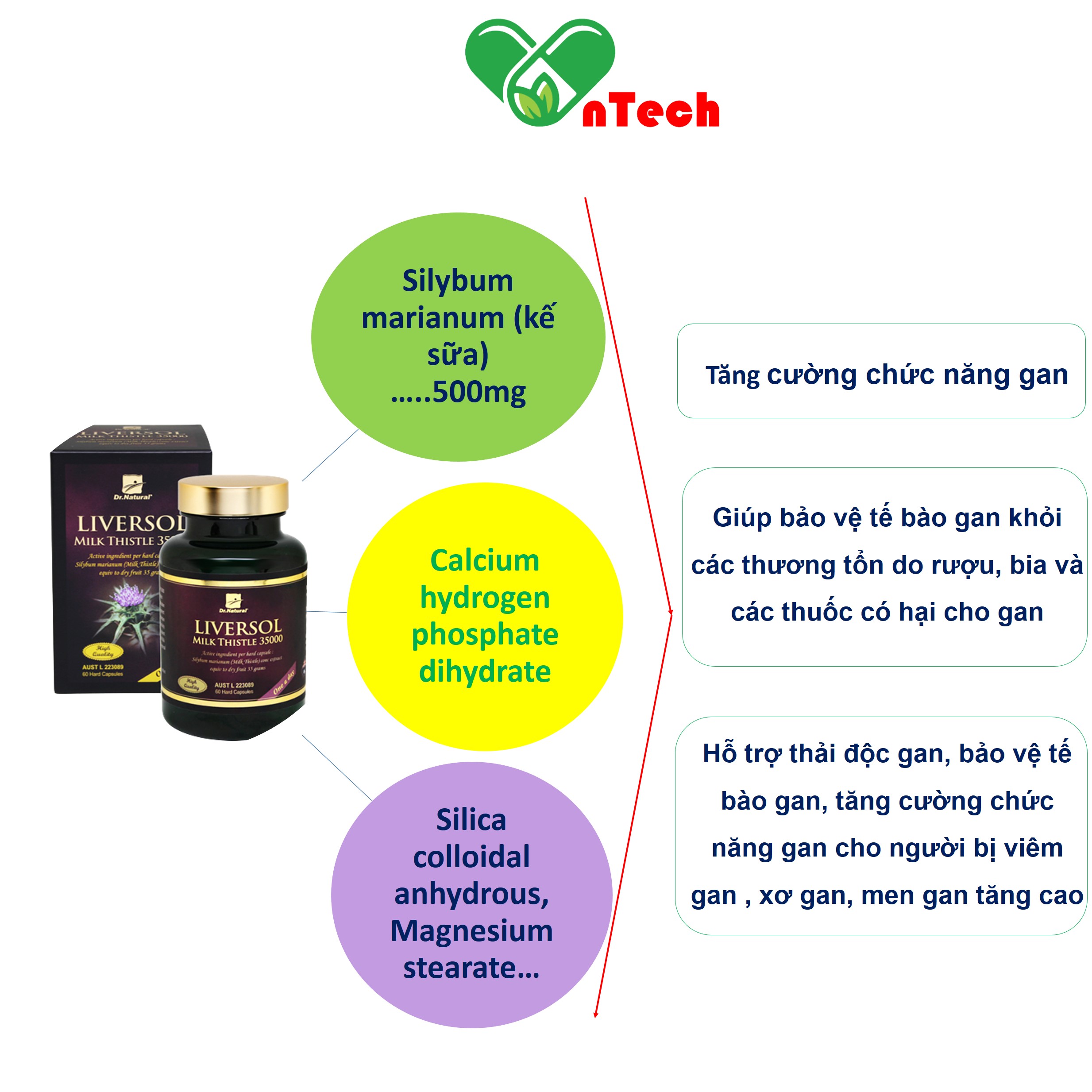 Viên uống bổ gan LiverSol Milk Thistle 35000 Tăng cường chức năng gan mát gan giải độc bảo vệ tế bào gan hàng nhập khẩu