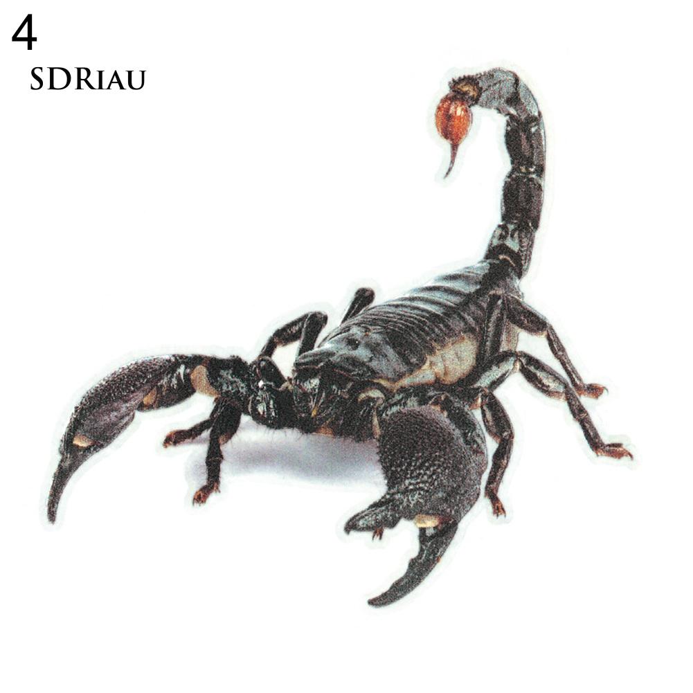 Miếng Dán 3d Trang Trí Xe Ô Tô