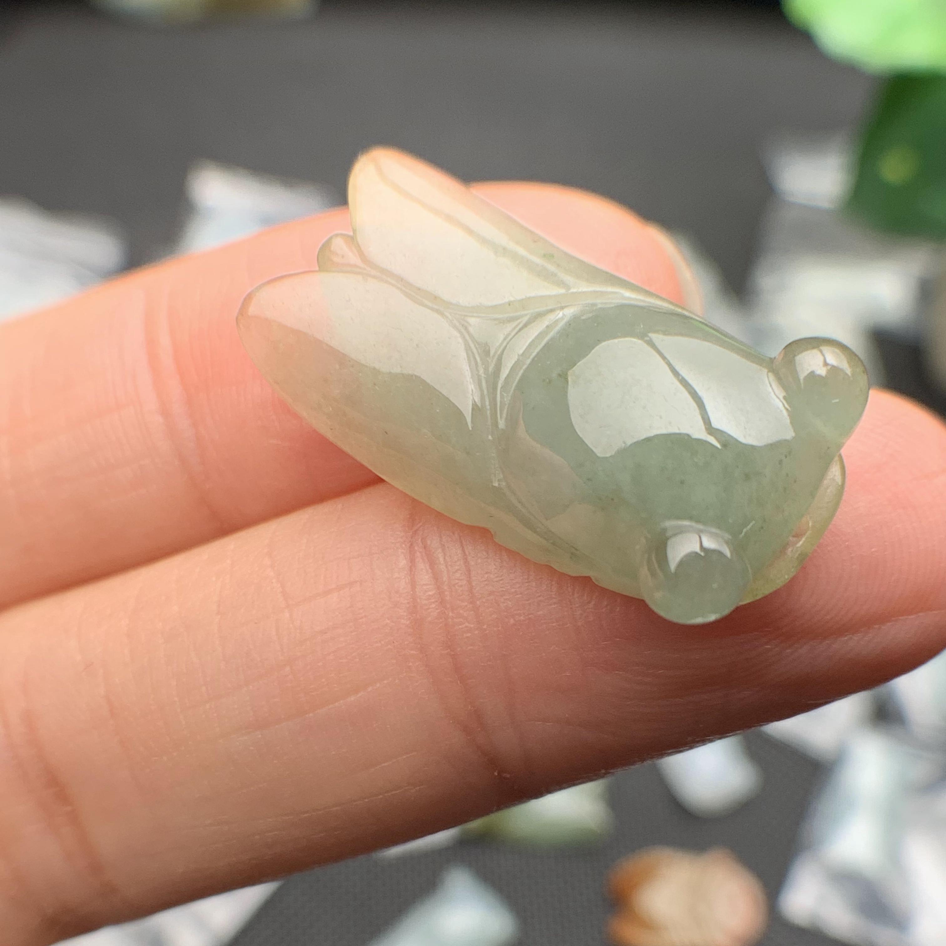 Ve sầu ngọc phỉ thúy tự nhiên Jadeite A
