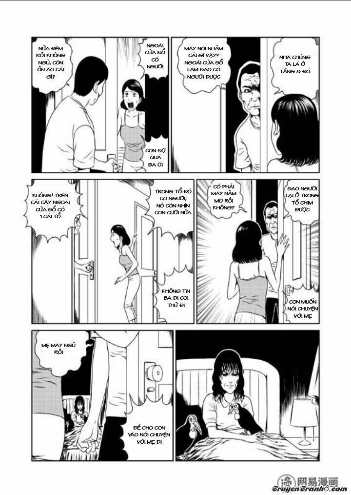 tổ chim chapter 1 12