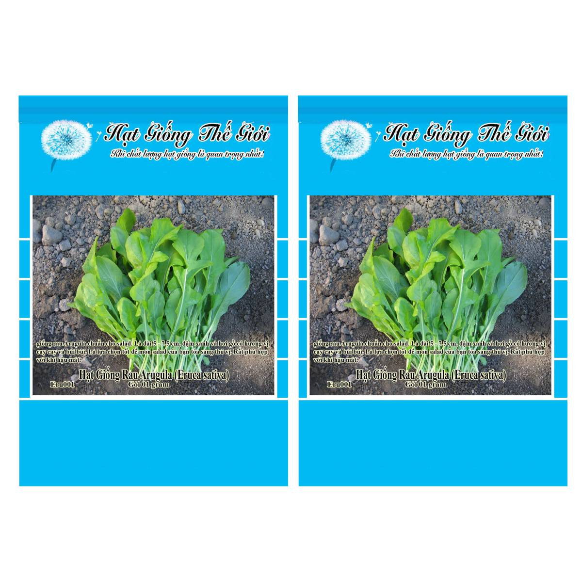 Bộ 2 Gói Hạt Giống Rau Arugula  1g