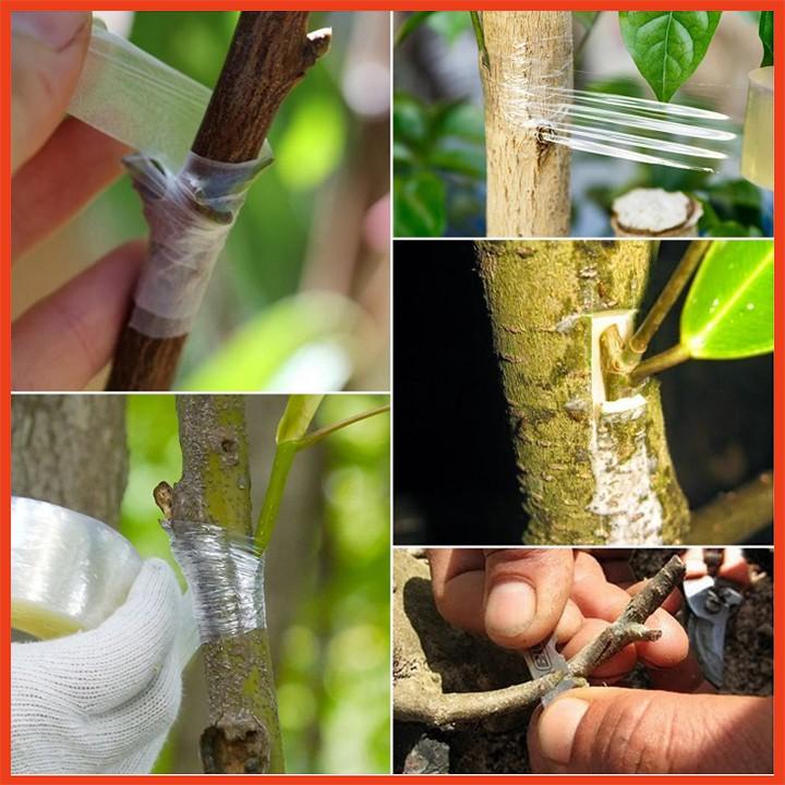 Băng keo ghép cành tự dính loại A dùng ghép cành cây bảo vệ mối ghép dài 120m