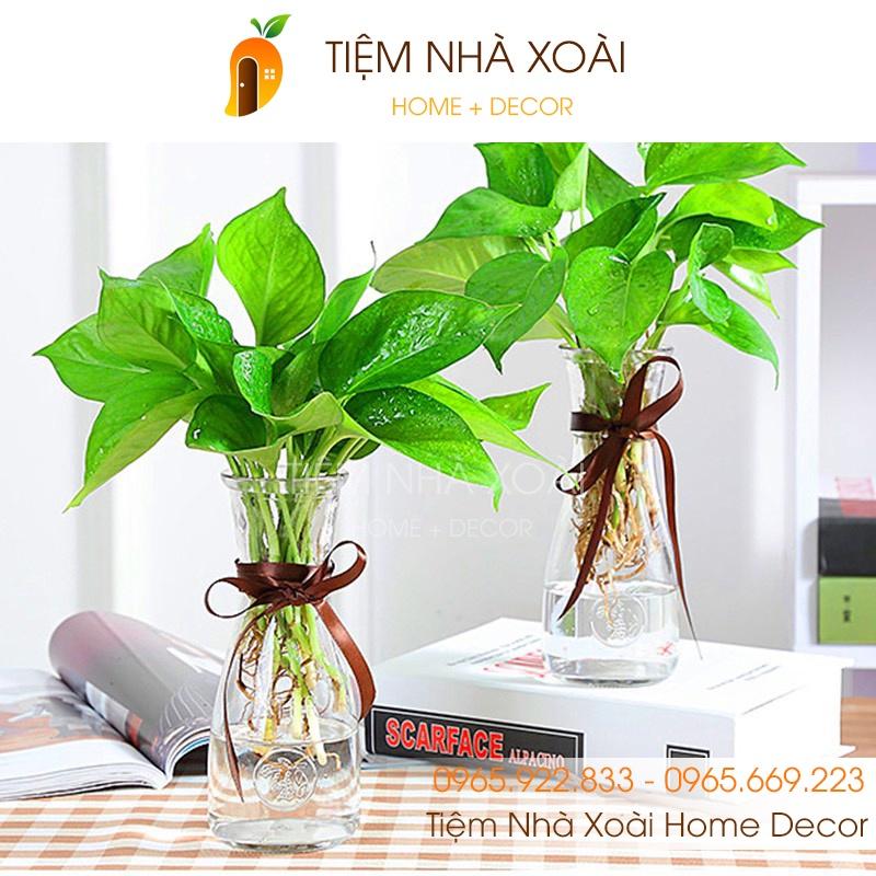 Bình Hoa Decor Thuỷ Tinh thắt eo cuốn dây thừng dây gai trang trí để bàn Vingate