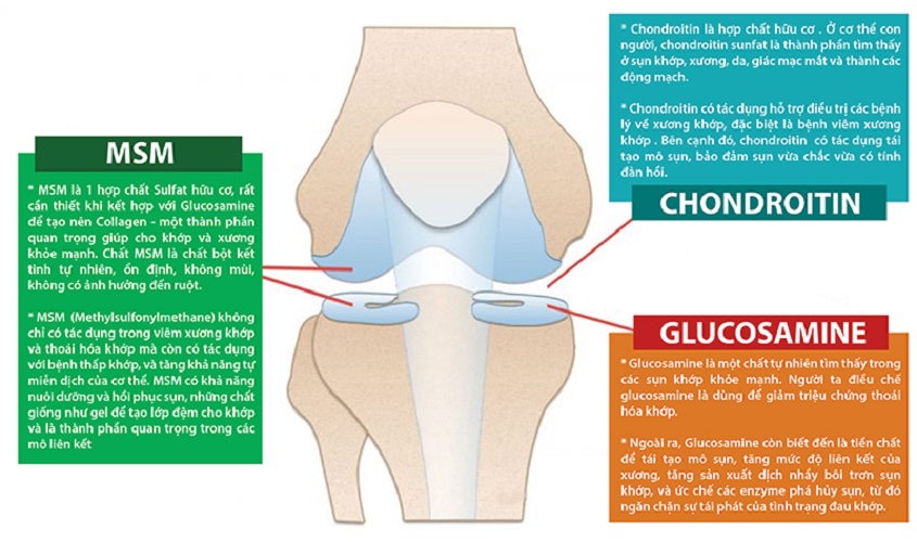 TPCN- Robinson Pharma USA- Joint Flex- Viên uống bổ xương khớp, ngừa viêm khớp, Giảm đau nhức, chống thoái hóa