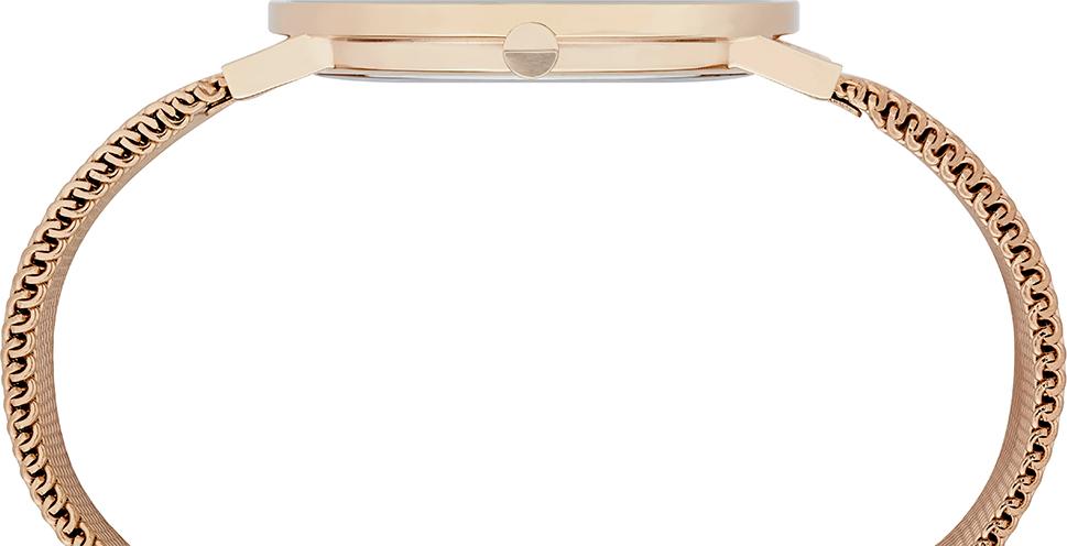 Đồng hồ nữ Pierre Cardin CBV.1040