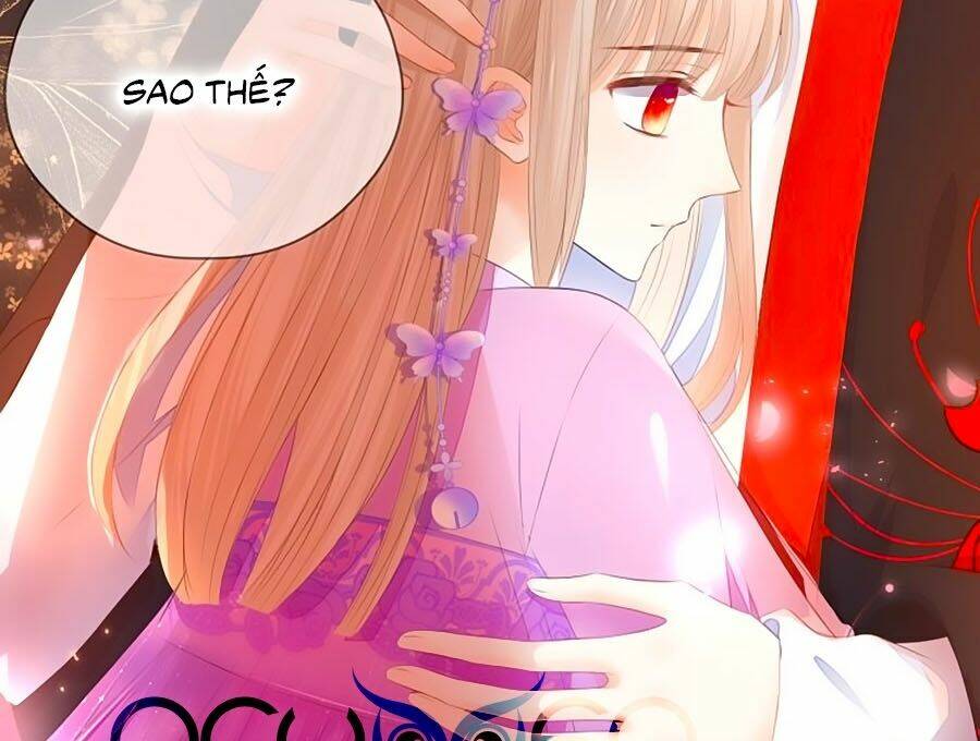 đóa hoa chớm nở chapter 72 7