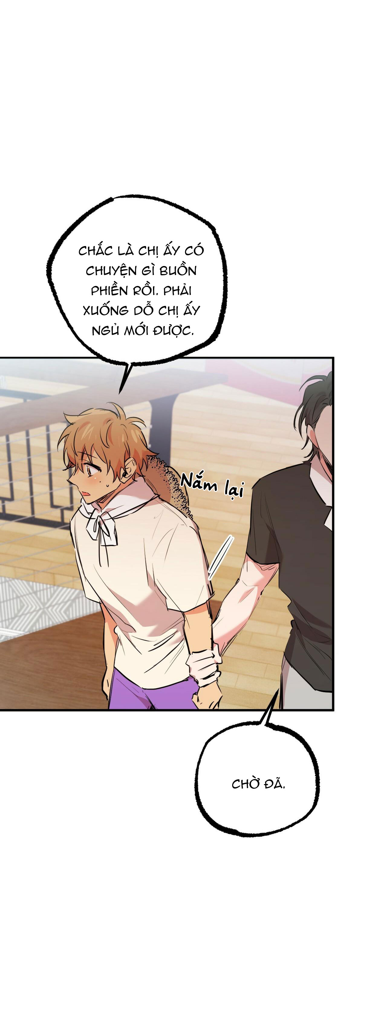 những chú thỏ của hapypy chapter 31 41