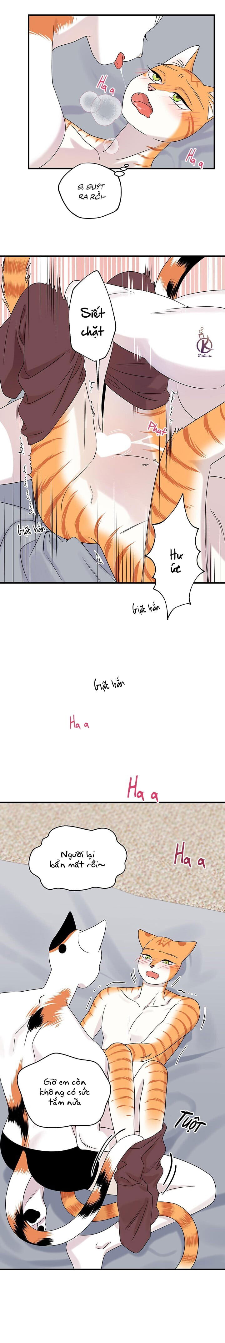 dự án xanh chapter 48 10