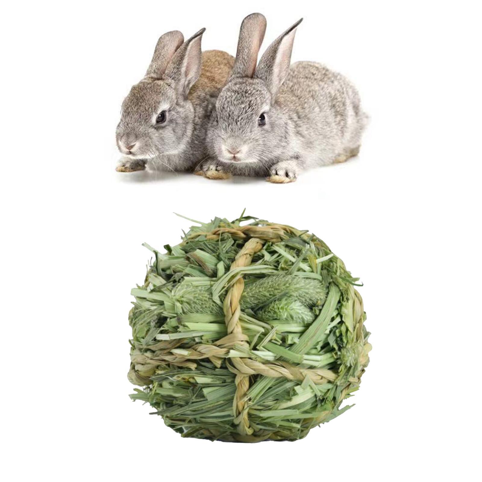 Rabbit Chew Toys Bite Grind Ball Small Animals Molar Toys for Gerbils Bunny