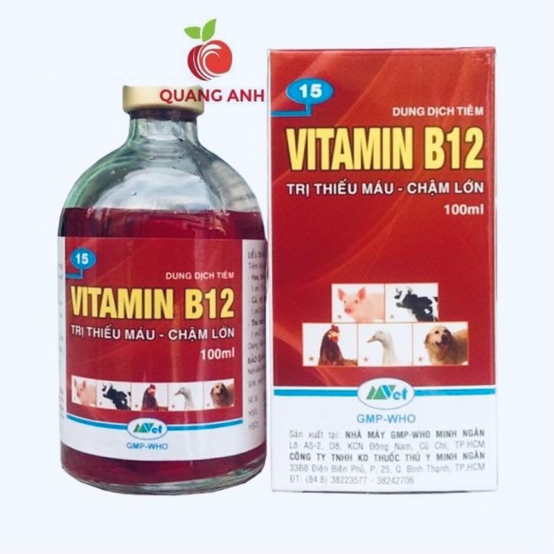 Vitamin B12 giúp giải độc chống sốc cho Lan chai 100ml