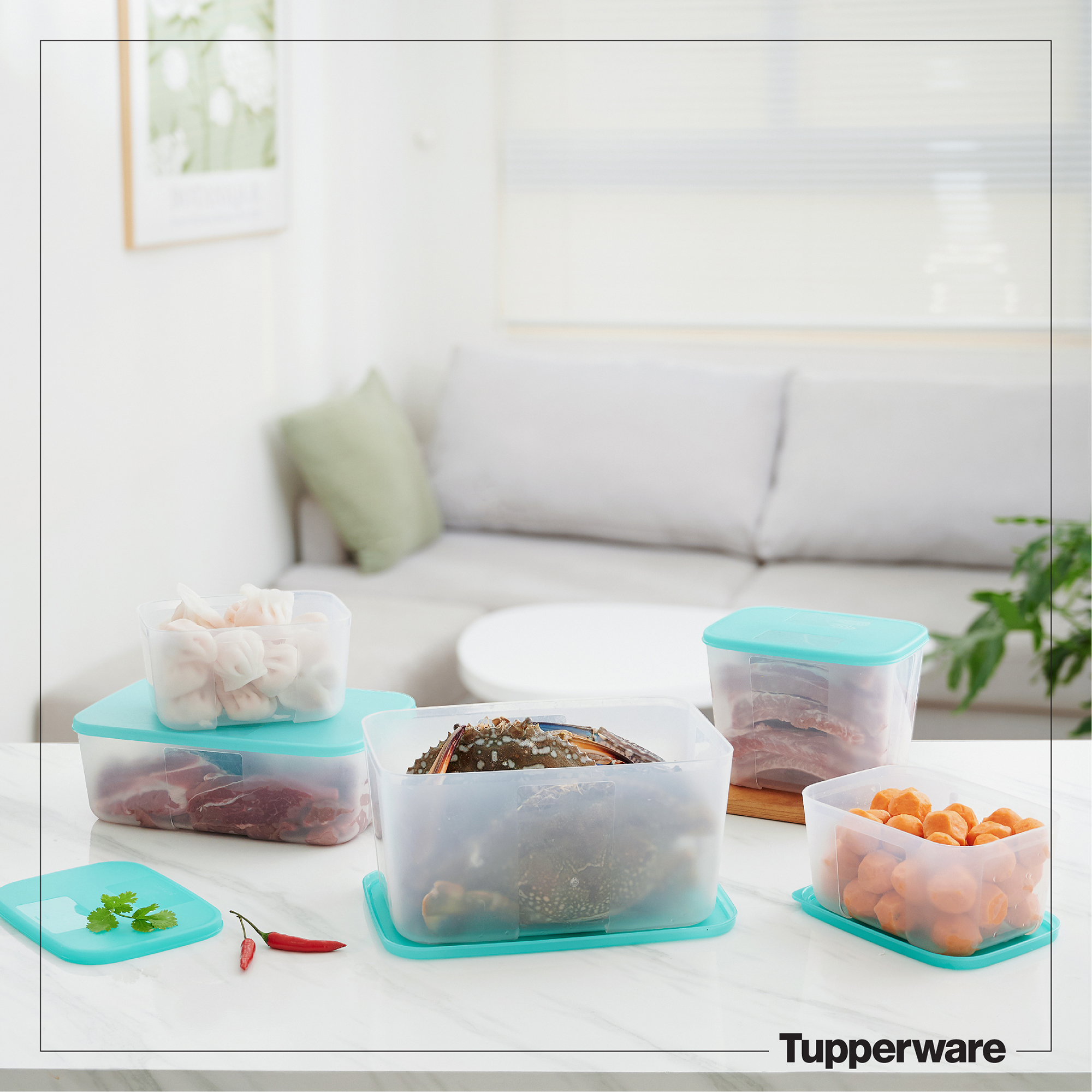 Bộ hộp trữ đông Paradise 5 hộp TUPPERWARE CHÍNH HÃNG