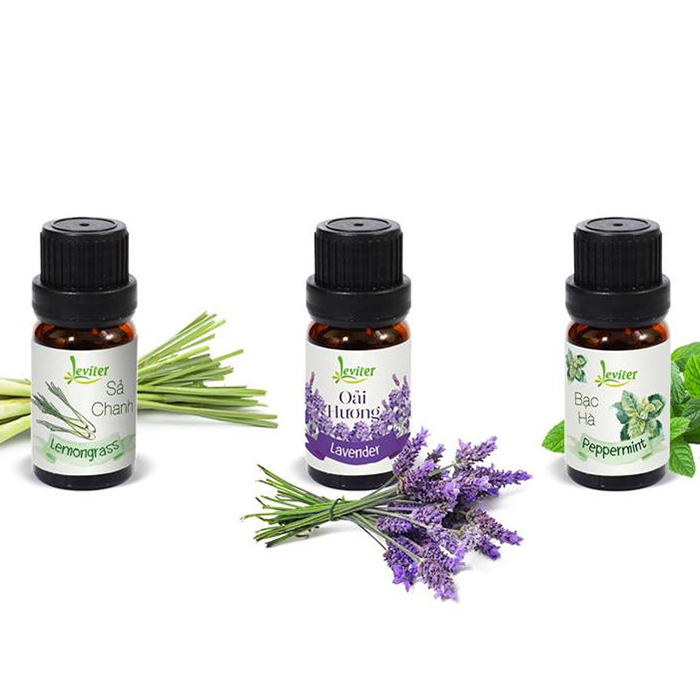 Combo 3 Chai Tinh Dầu Leviter Thư Giãn 10ml Sả chanh, Oải hương, Bạc hà - Relax Essential oil