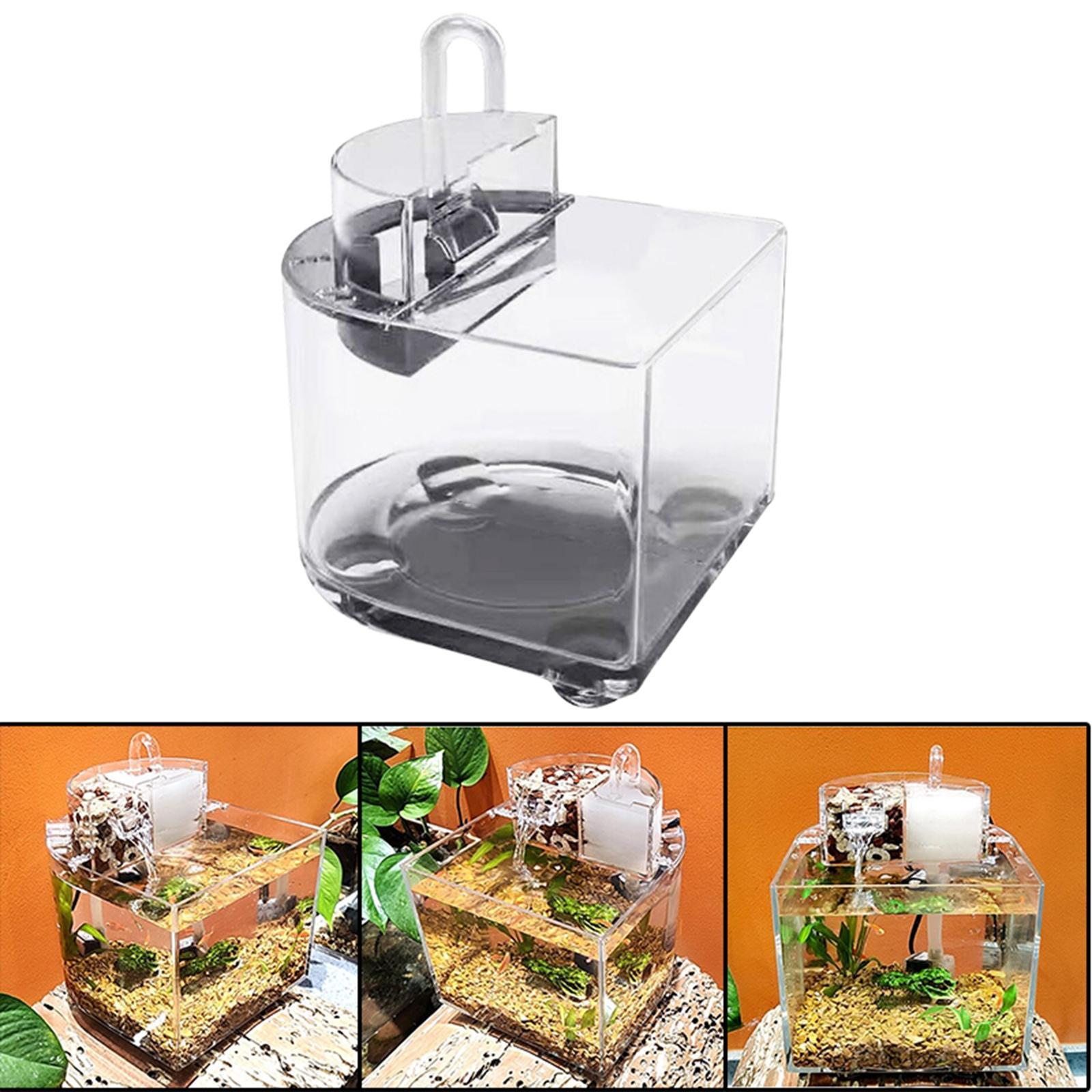 Desktop Aquarium with Water Filtration Quiet Air Pump