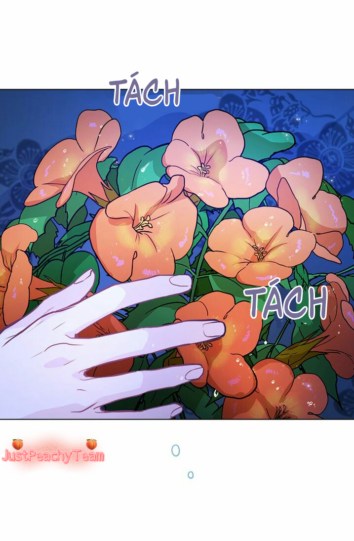 khi những nụ hoa nở rộ chapter 10 3