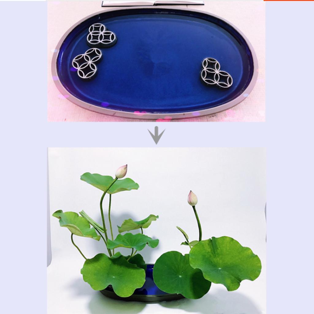 Japanese Ikebana Flower Arranging Frogs Flower Holder Planter