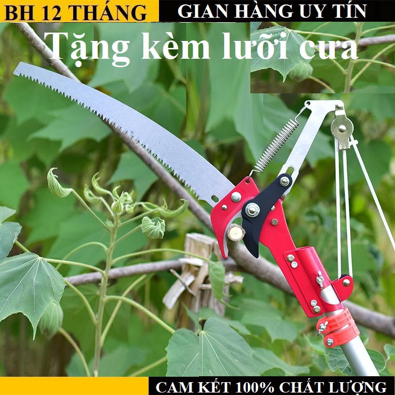 Kéo Cắt Cành Trên Cao - Đầu Kéo Cắt Tỉa Cành