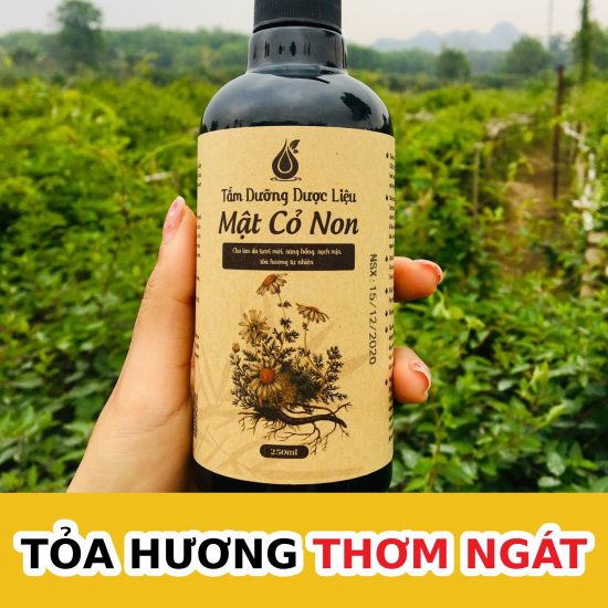 Sữa Tắm Dược Liệu MẬT CỎ NON - Sữa tắm thảo Dược Tốt Cho Phụ Nữ Mang Thai - Sau Sinh - Người Lớn Tuổi  Giúp  Dưỡng Trắng  Da  - Hết Mụn Lưng - Viêm Da  Giúp Thư Giãn  Tặng kèm Bông Tắm Cao cấp