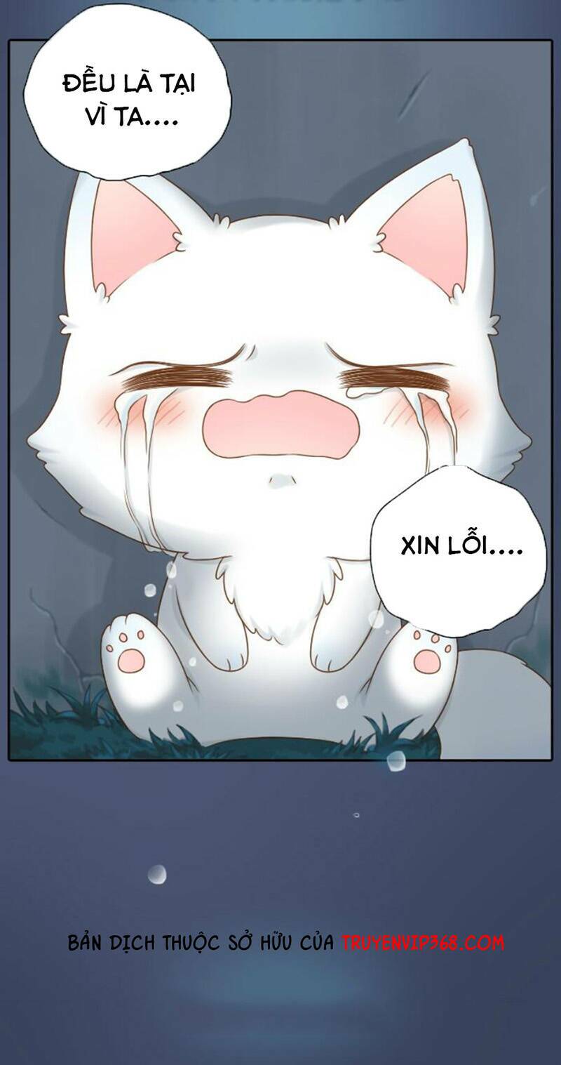 tiểu hoà thượng - chào mừng đến trấn yêu quái chapter 11 14