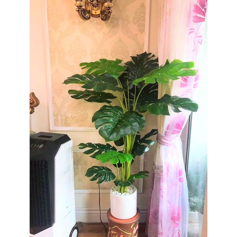 Cây lá rùa xẻ giả - Size 130cm - 3 nhánh - Cây giả, hoa lụa Decor trang trí nhà cửa