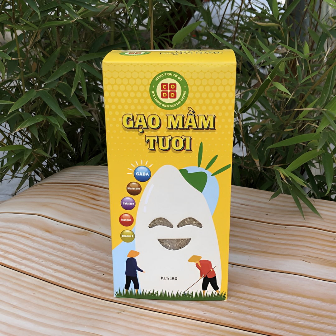 ST25 Gạo Mầm Gaba Cờ Đỏ Cho Bé Ăn Dặm Nấu Cháo Dinh Dưỡng Làm Trà, Cốm, Sữa Hộp 1kg