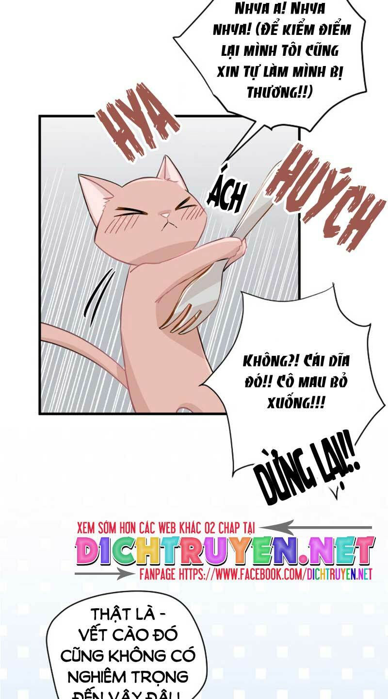 cuộc sống kỳ thú chapter 9 3