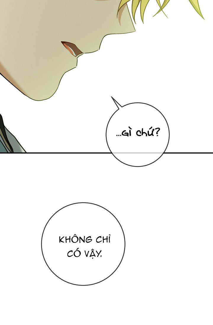 hướng đến ánh dương một lần nữa chapter 27.1 27