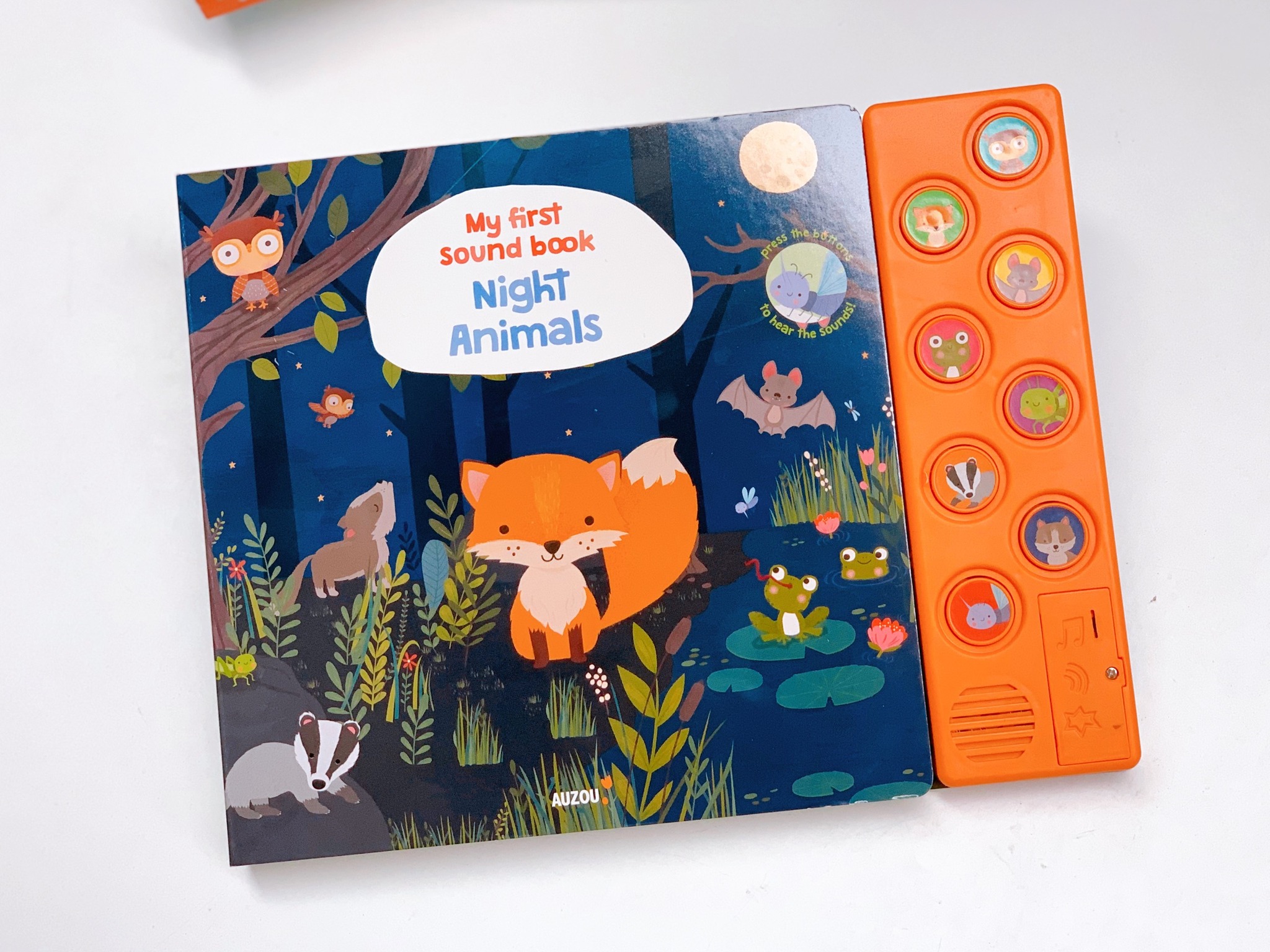 My First Sound Book: Night Animals