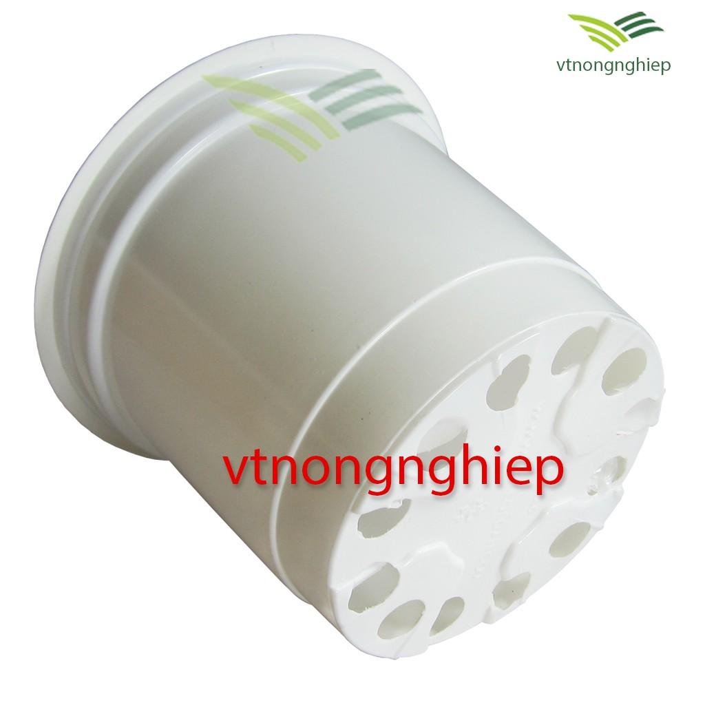 Chậu nhựa trồng Hoa CH-23x16 màu xám nâu, màu đỏ đất, màu trắng