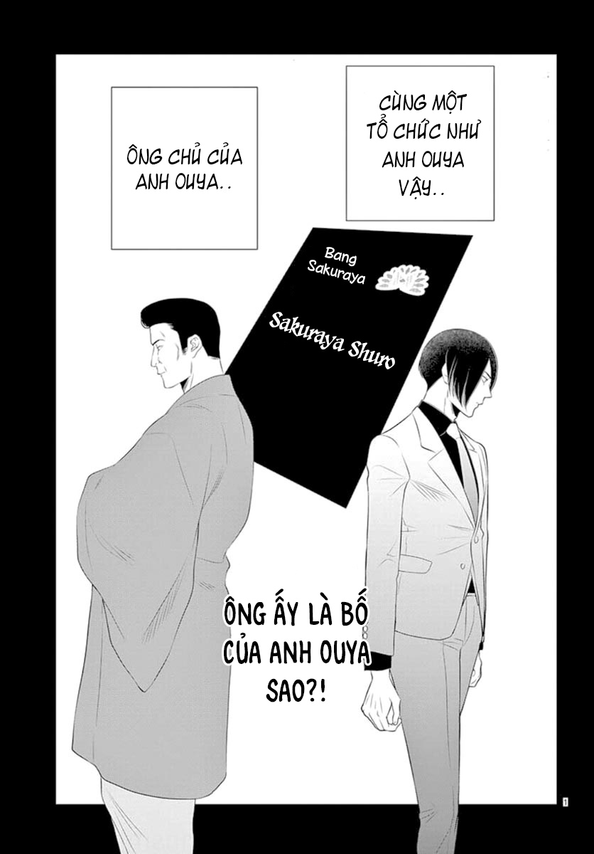 koi to dangan - người tình nguy hiểm chapter 12 3